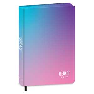 Cartoleria Diario 2027 Teenace 12 mesi Special Standard Teenace