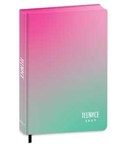 Cartoleria Diario 2027 Teenace 12 mesi Special Standard Teenace